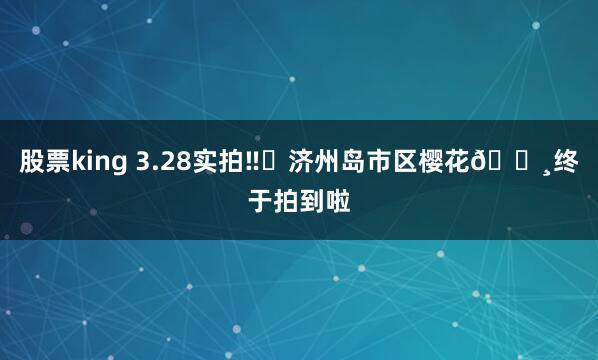 股票king 3.28实拍‼️济州岛市区樱花🌸终于拍到啦
